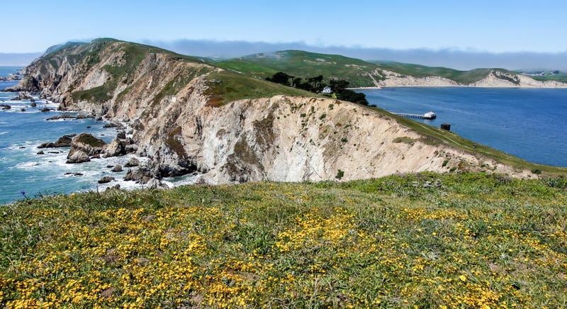 An unidentified hiker was found dead at Point Reyes National Seashore on Monday morning, just over a day after they were last seen.