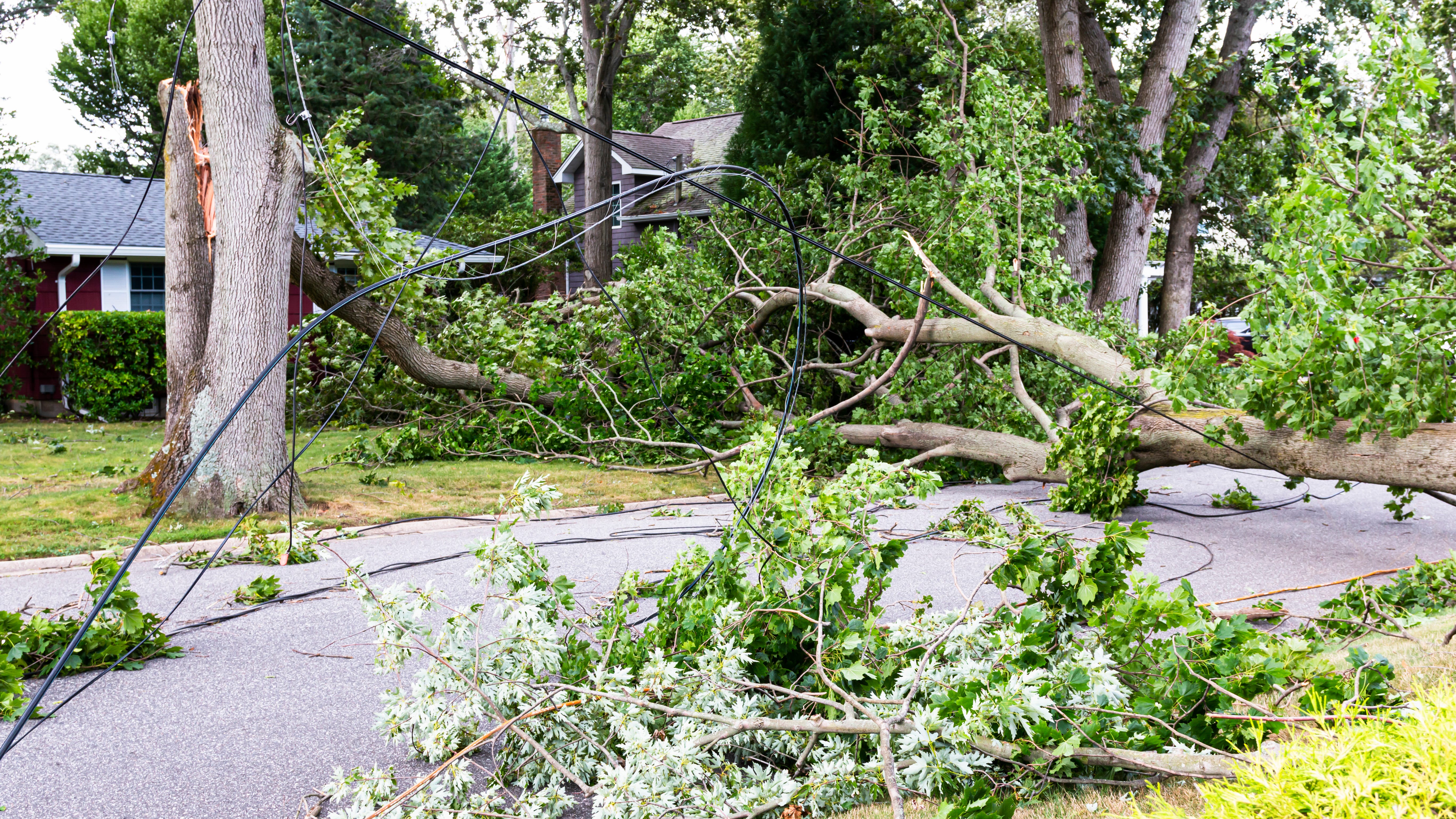 Severe storm, with winds reaching 90 MPH, blasts northern suburbs and North Side, causing hefty damage