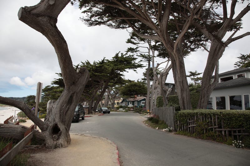View of Street and walkway with Cypress Tree and mansions on Carmel Beach in Carmel, California