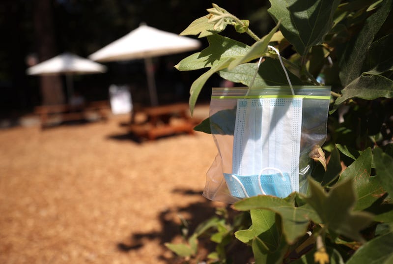 A surgical mask in a Ziploc bag hangs from a tree at Creek Park on August 10, 2020 in San Anselmo, California.