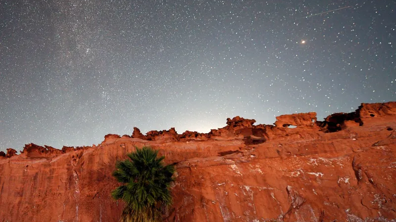 Look up! August will offer these skygazing delights