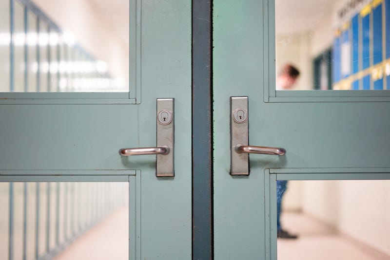 FILE: School doors