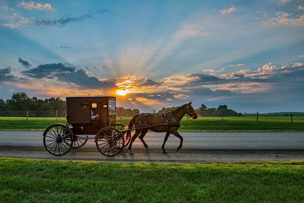 Amish and horse and buddy against a sunset