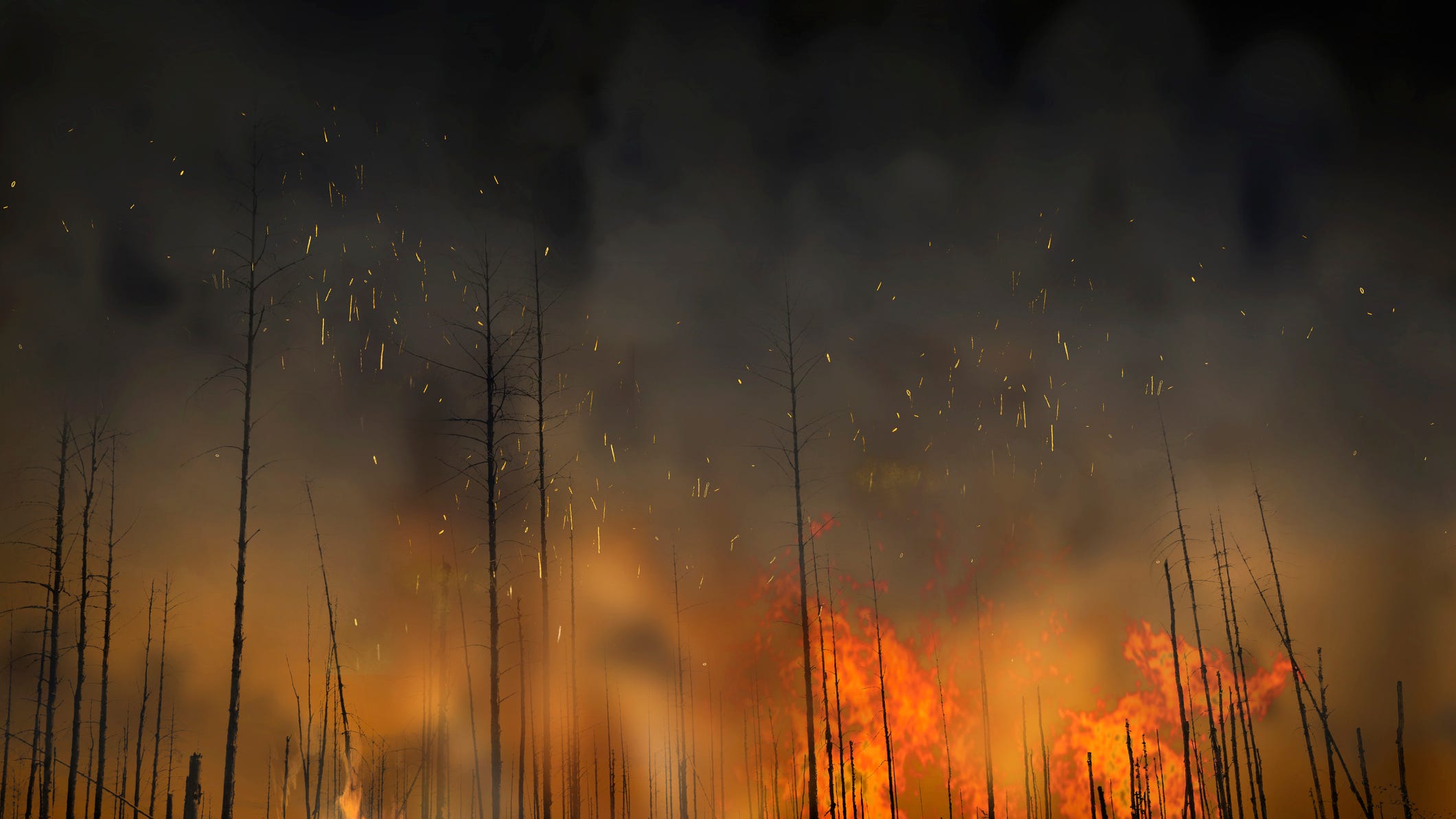 Boundary Waters Canoe Area Wilderness closed due to Greenwood fire
