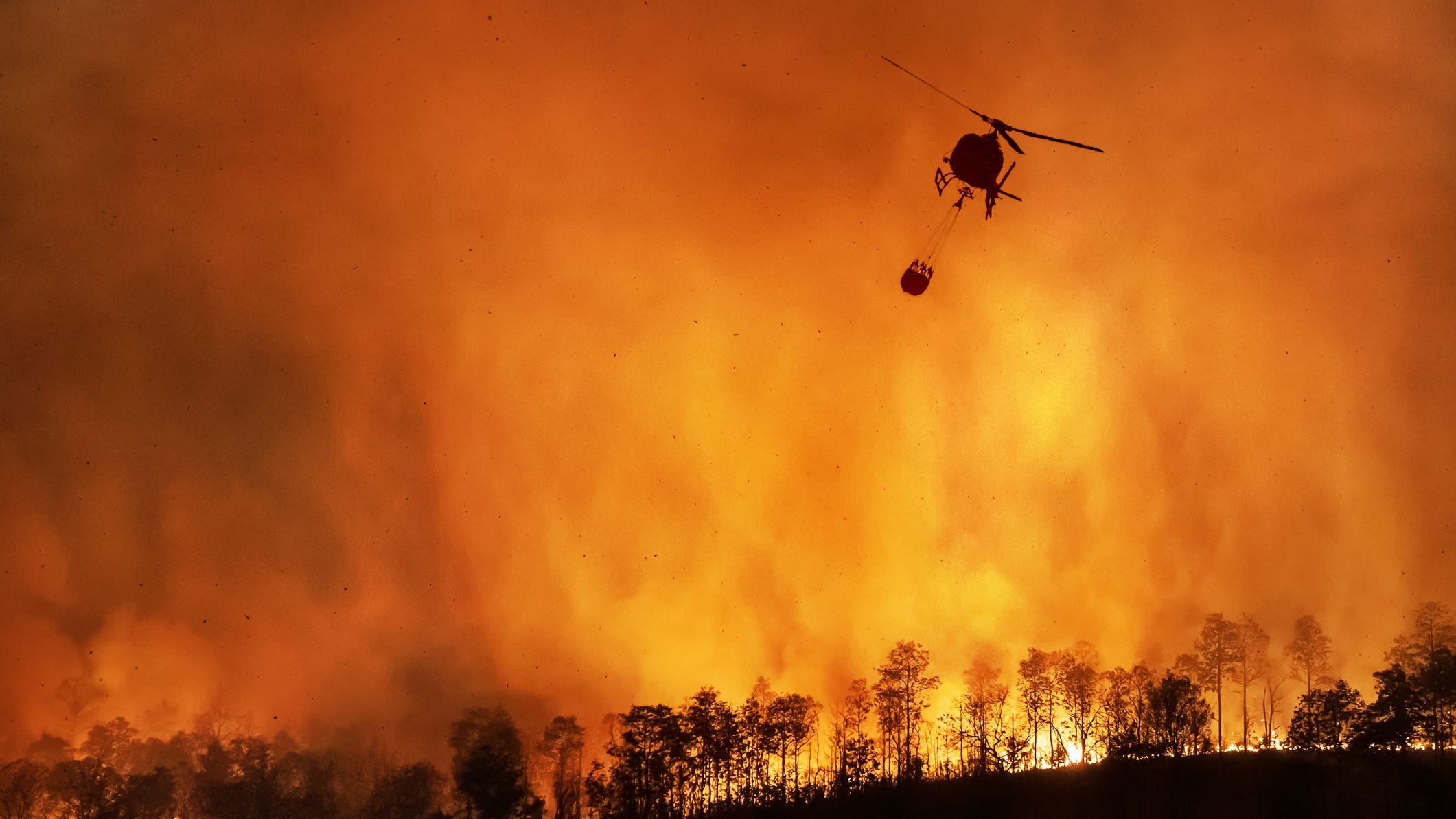 Extreme weather has personally affected majority of adults, poll finds