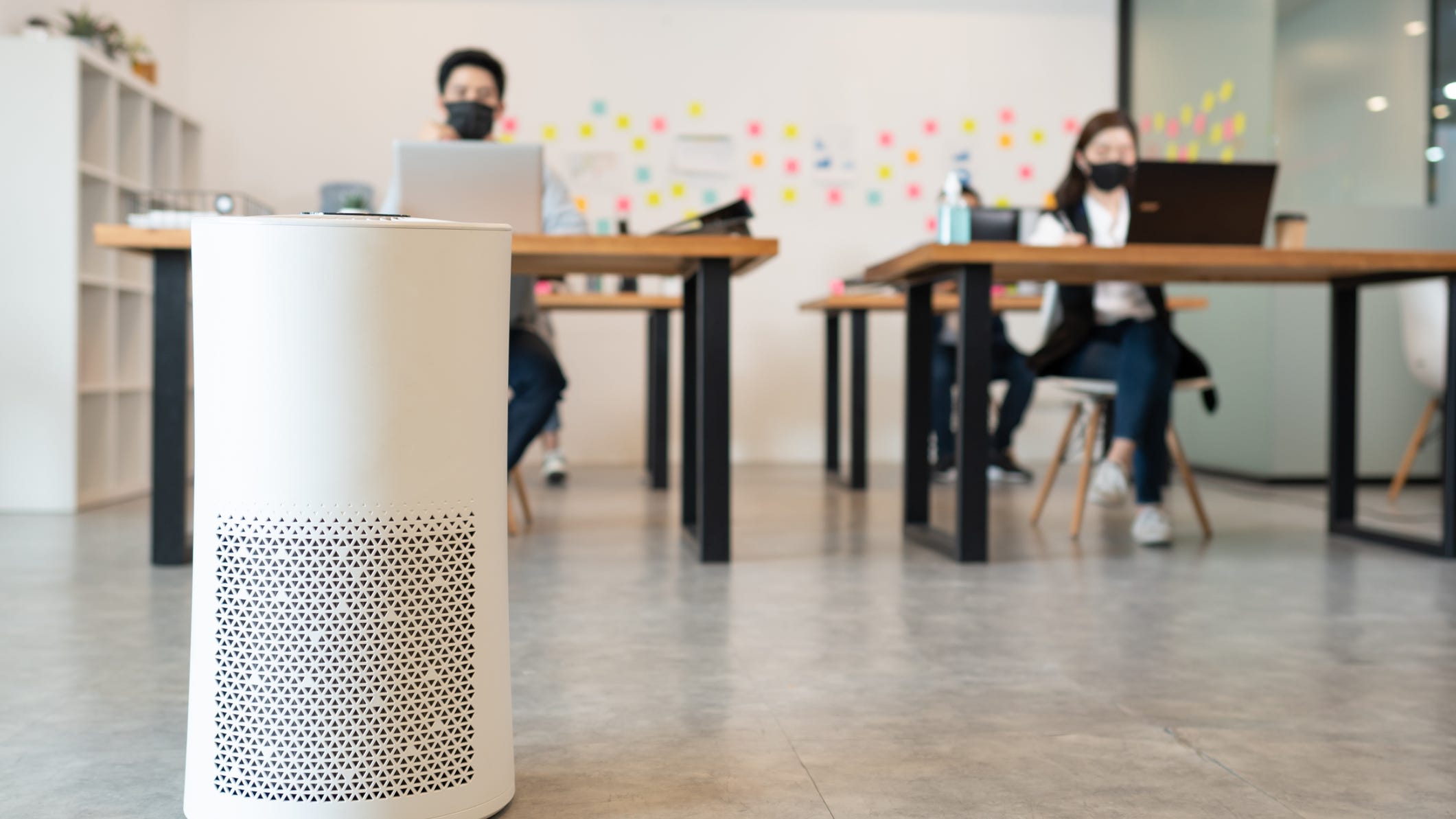 Bad indoor air quality can be extremely detrimental to cognitive function: Study