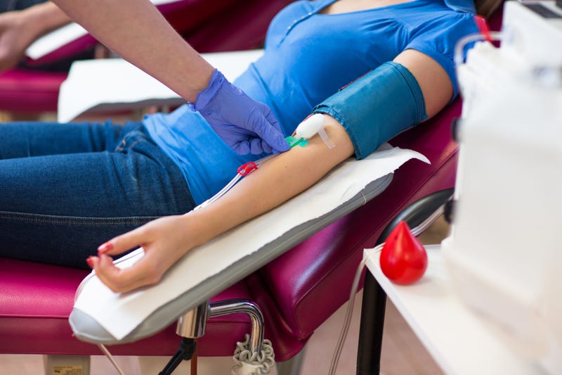 blood donor
