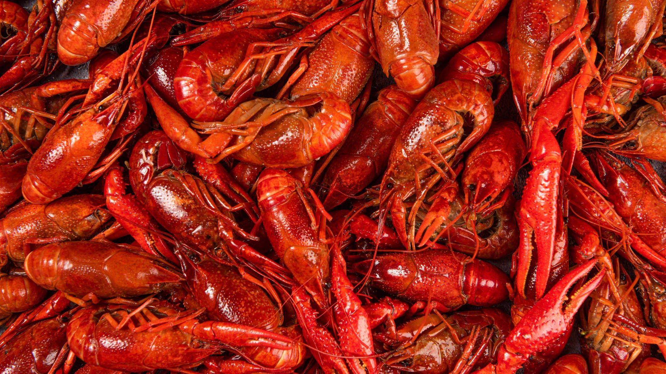 Two Lafayette men charged with gross littering after dumping sacks of dead crawfish at Vermilion boat launch
