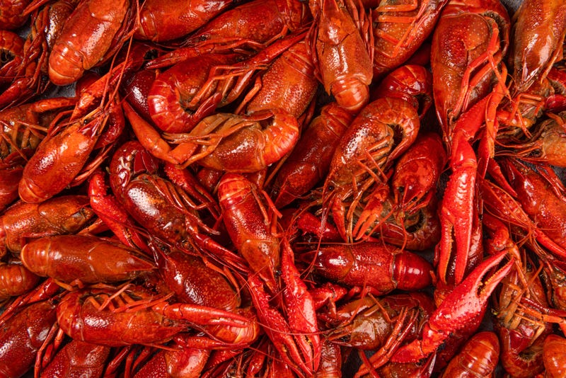 Crawfish