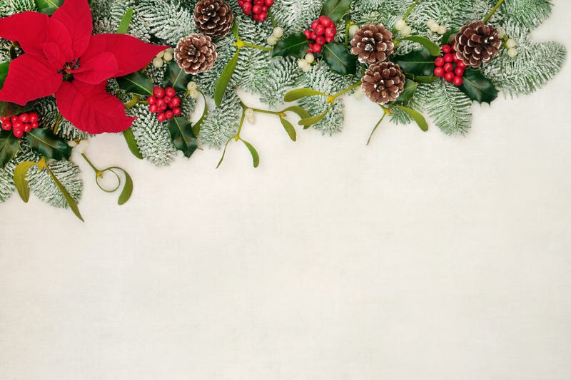 Mistletoe, poinsettia and other holiday plants in an arrangement. 