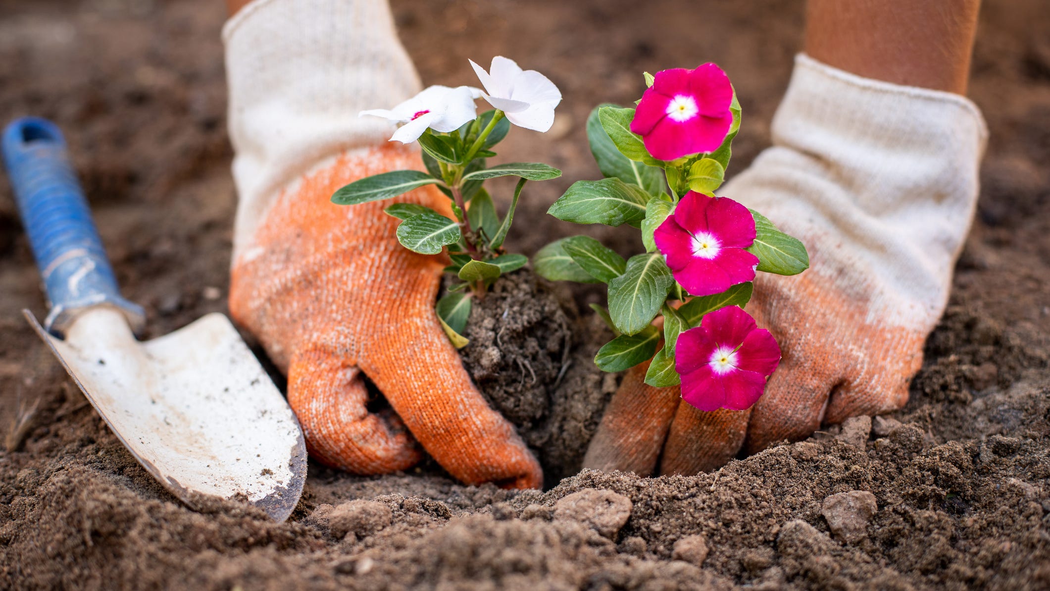 Ask the Expert: What drives poison center calls in the spring?