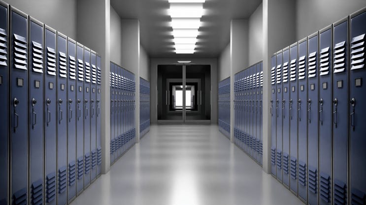 Student brings gun to Georgia high school and it fires, prompting lockdown
