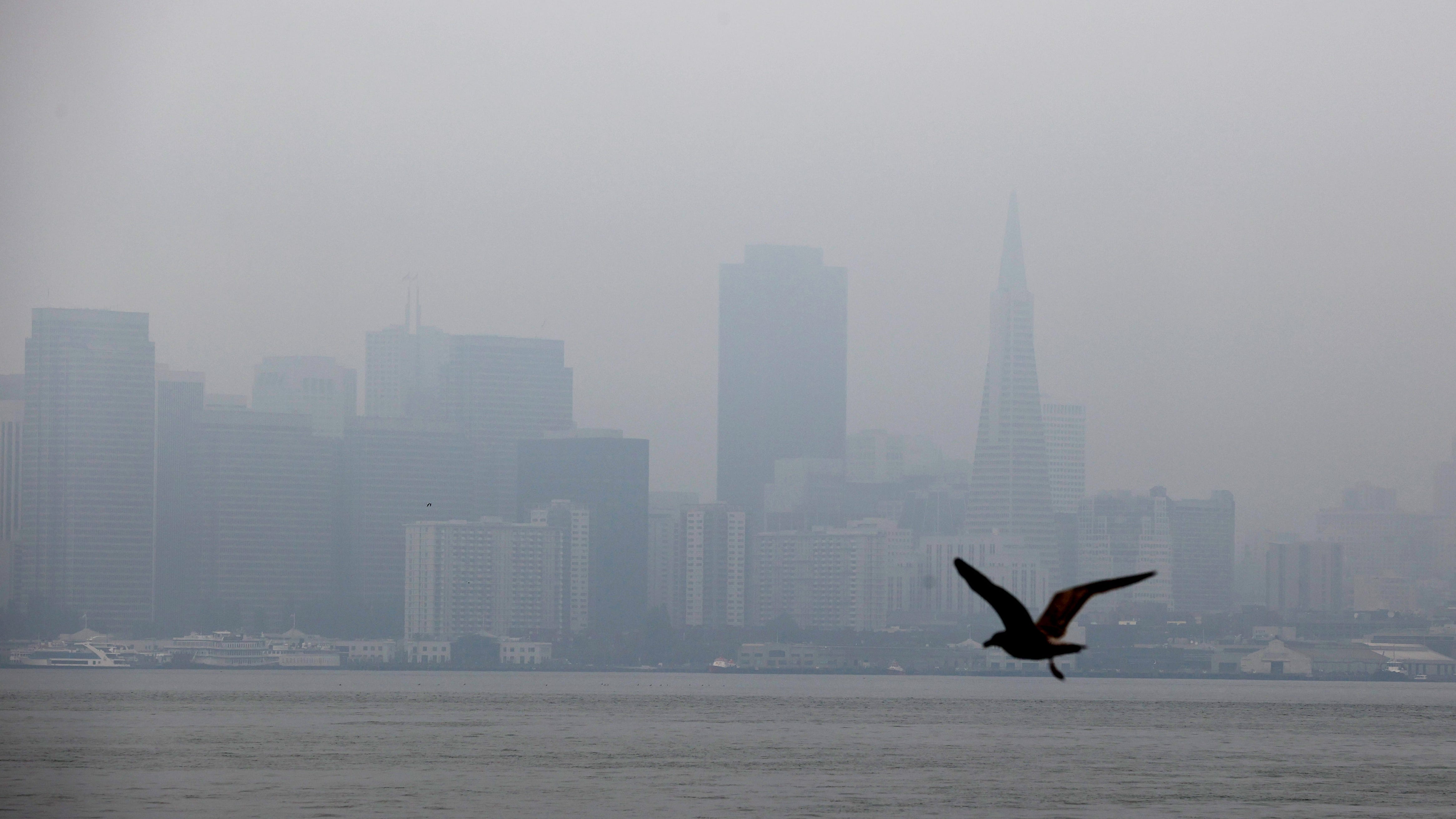 Bay Area had over two months of unhealthy air quality last year, study shows
