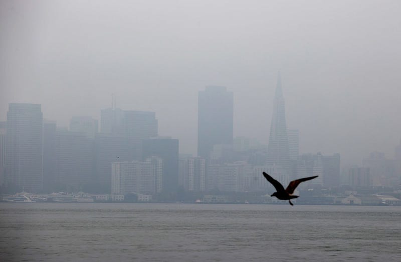 Wildfire smoke is approximately 10 times more toxic than regular air pollution.