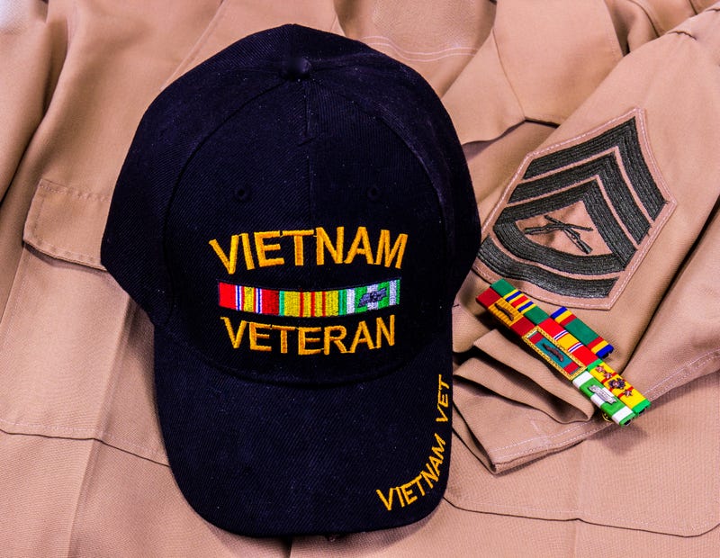 Vietnam Vets