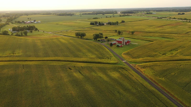 Minnesota is a major agricultural powerhouse, ranking high nationally in crop and livestock production and exports. The state's diverse agricultural landscape contributes significantly to its economy, with a large number of farms and a substantial portion of the state's GDP derived from agriculture. 