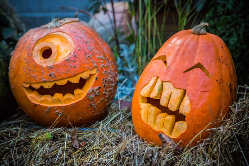 Pumpkin carvings