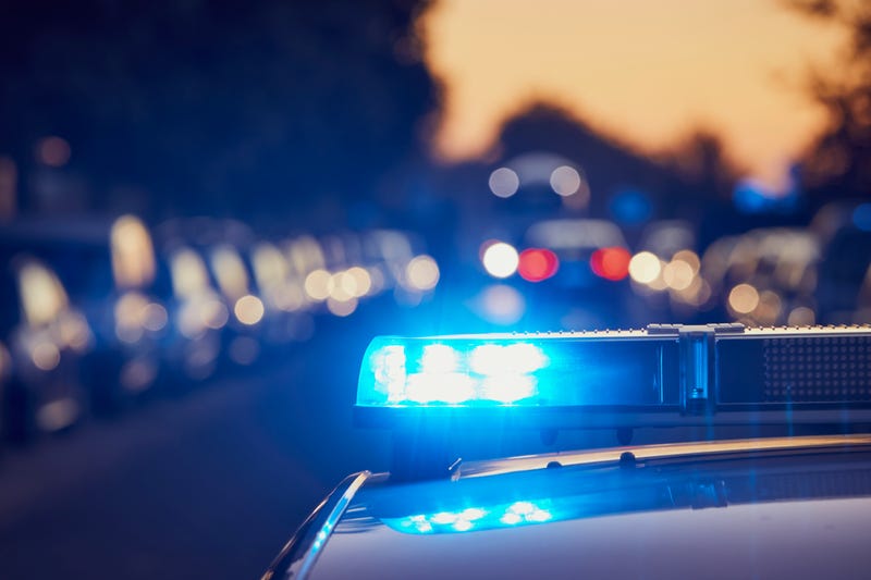 The woman faces a long list of charges after allegedly attacking a boy, his dad and officers