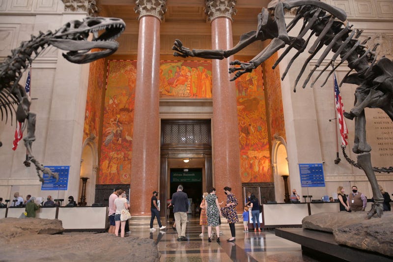 American Museum of Natural History