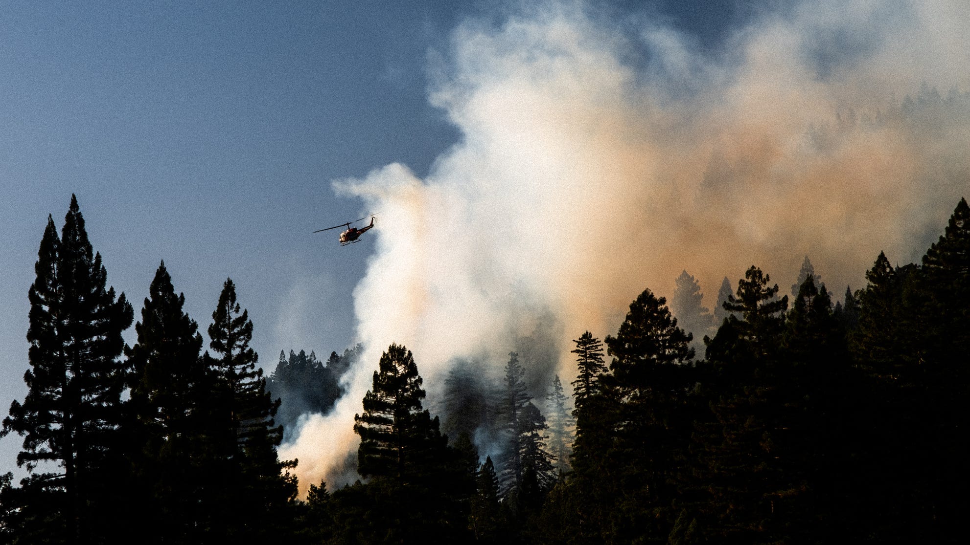 All California national forests closed to public for Labor Day through Sept. 17