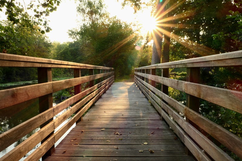 Plans for pedestrian bridge along Scranton trail