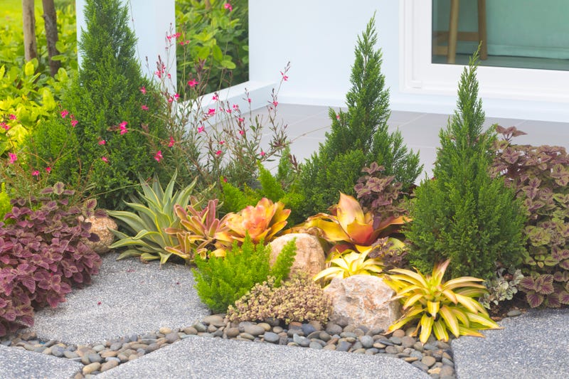 andscape design of home garden close-up. Detail of beautiful landscaped garden with green plants and flowers. Natural stone landscaping in backyard in summer.