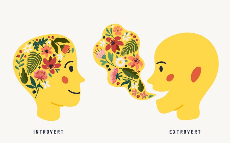 Not An Introvert Nor An Extrovert?