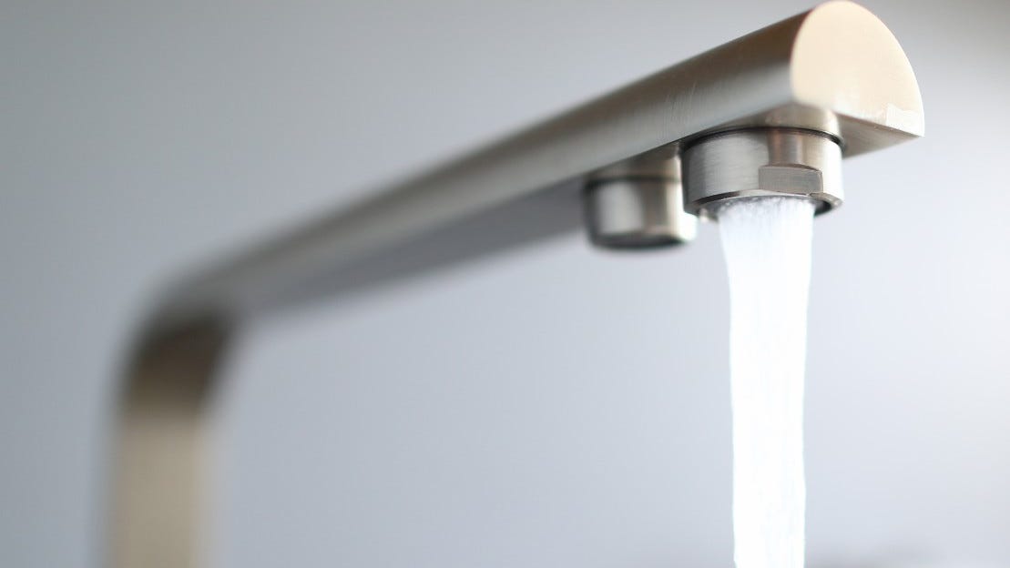 Higher than usual algae content in Schuylkill leads to 'musty' tap water taste