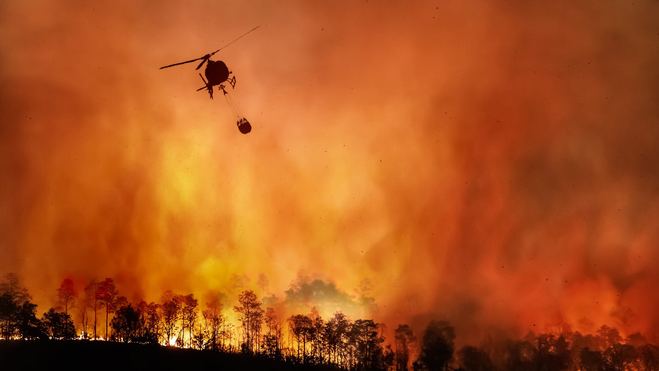 UN climate change report signals 'code red' for planet