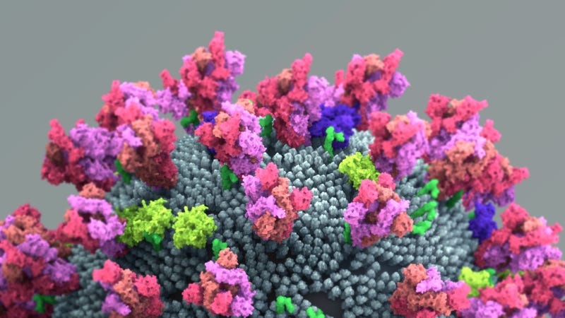 Coronavirus