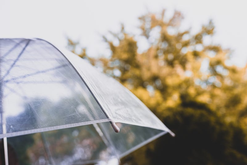 clear umbrella