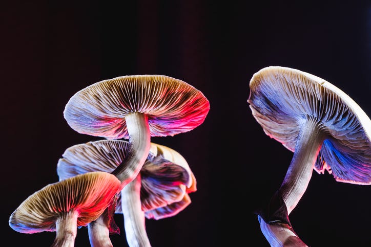 Psychedelics 