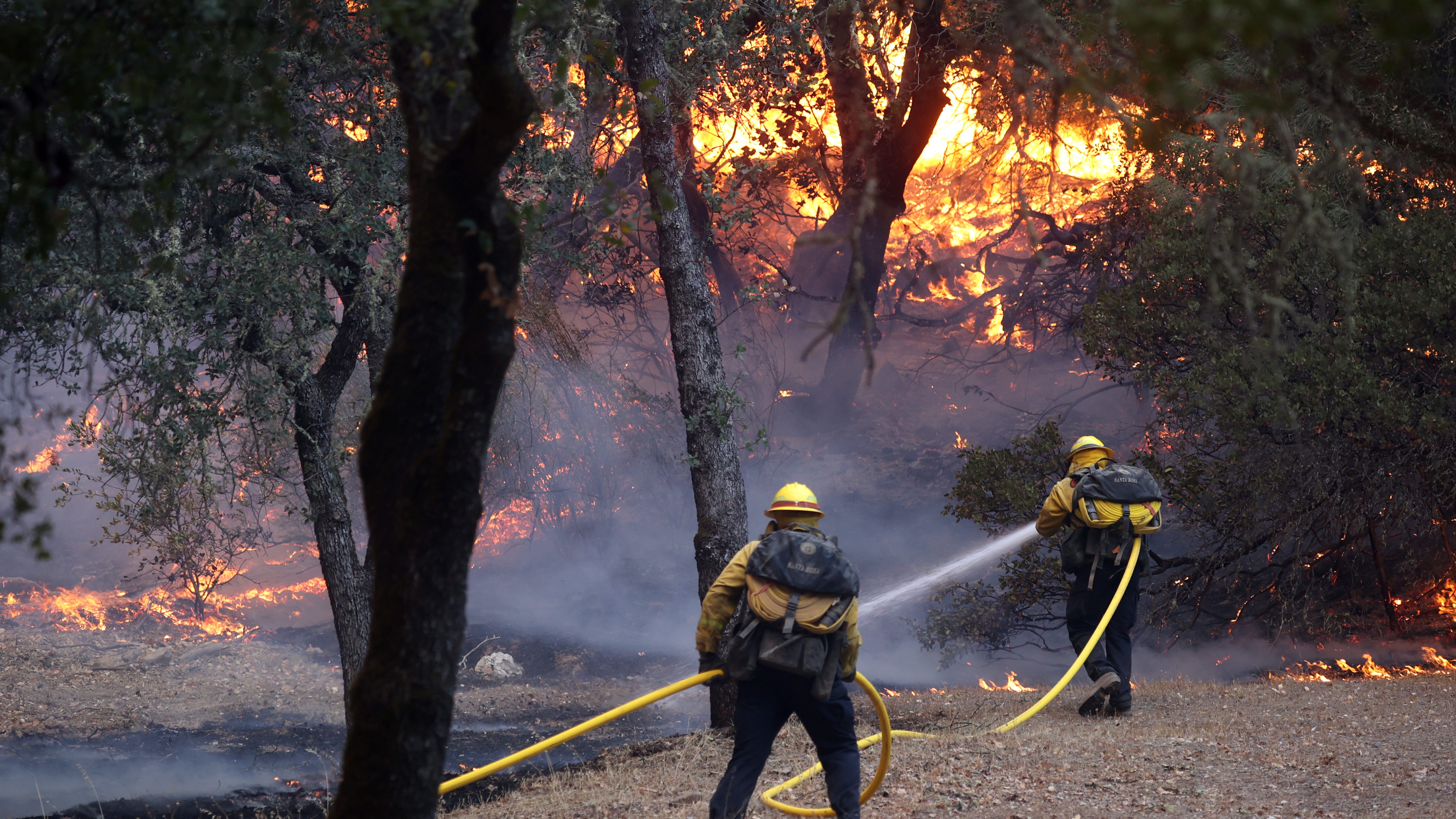 State legislators to introduce $1B wildfire prevention plan