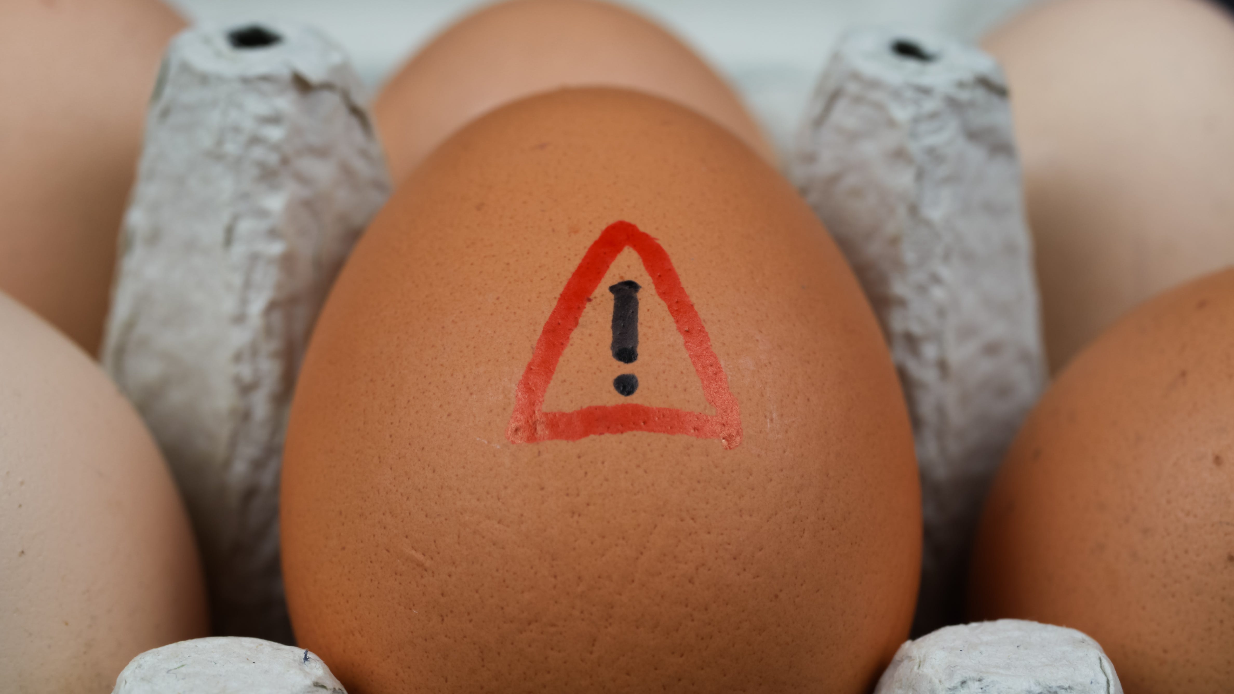 FDA: plant-based 'egg bites' recalled for possibly containing eggs