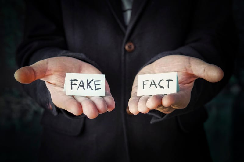 fact checking