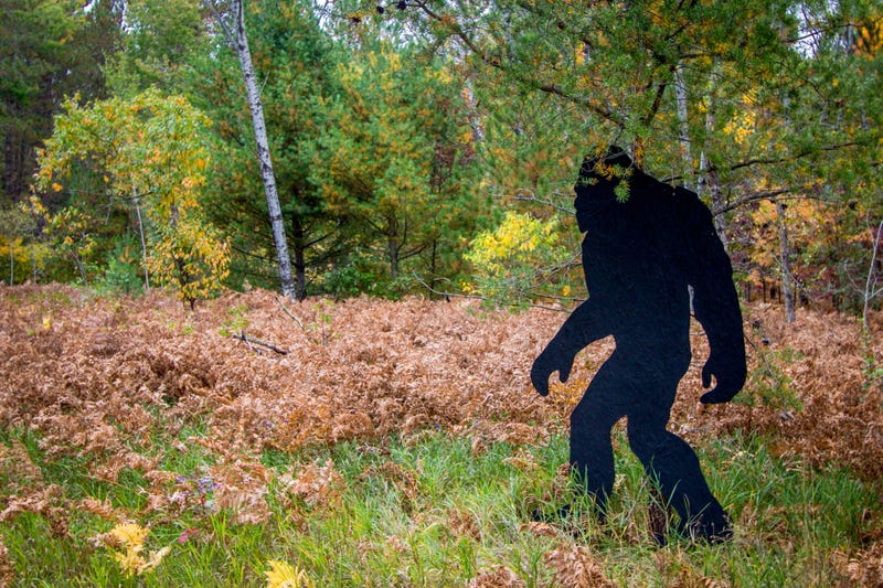 Wooden bigfoot in the northern forest of the United States