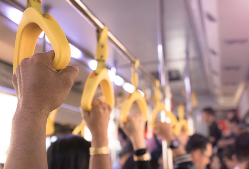 bus