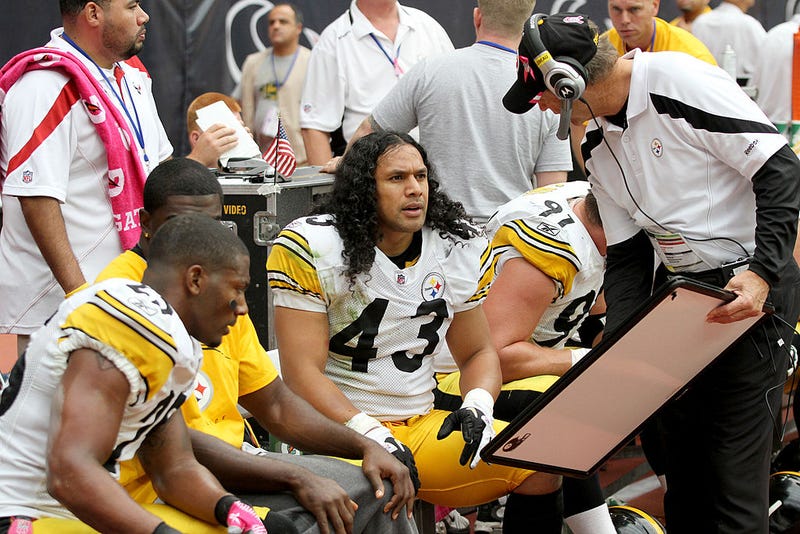 Dick LeBeau talks to Troy Polamalu during a game in 2011