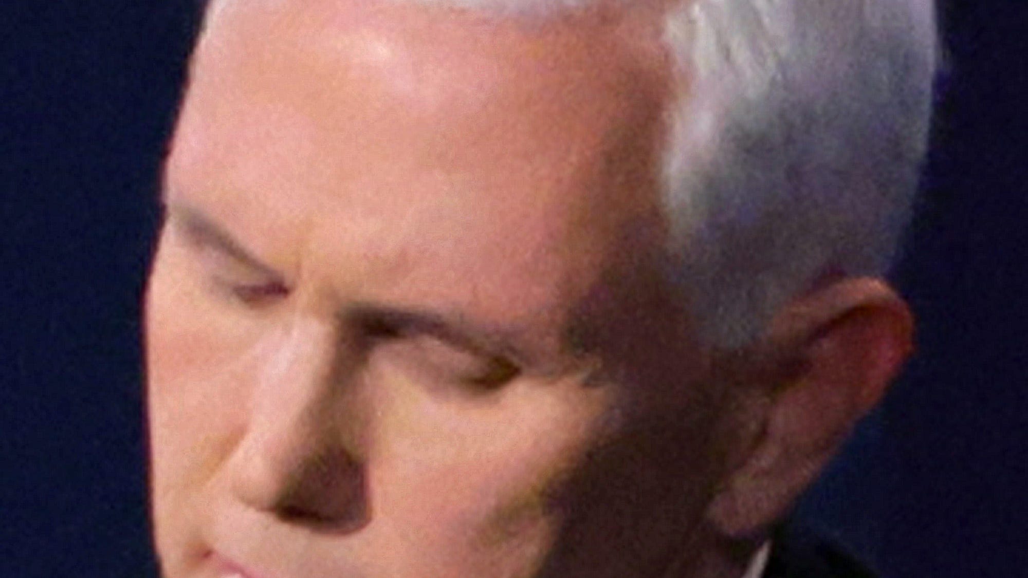 Pence finally addresses the elephant – errr, fly – in the room: 'I didn't know he was there'