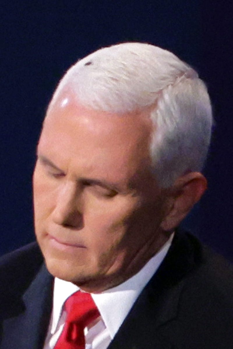 A fly briefly lands on head of U.S. Vice President Mike Pence during in the vice presidential debate against Democratic vice presidential nominee Sen. Kamala Harris (D-CA) at the University of Utah on October 7, 2020 in Salt Lake City, Utah. The vice presidential candidates only meet once to debate before the general election on November 3.