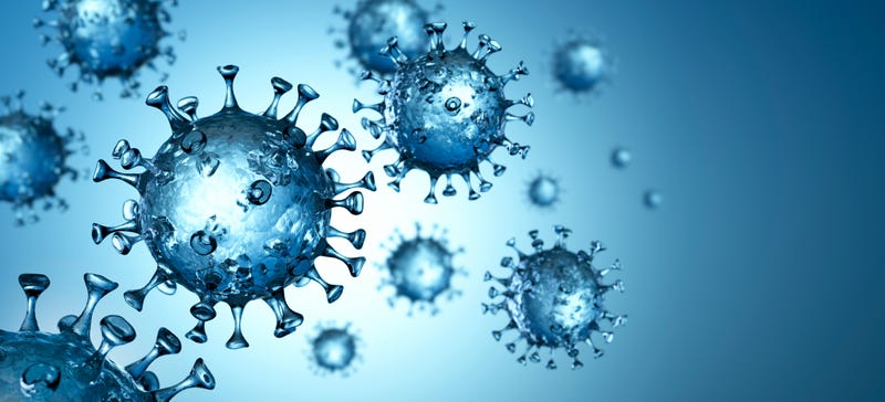 Looking ahead to the future, decades from now, the virus will have integrated into society.