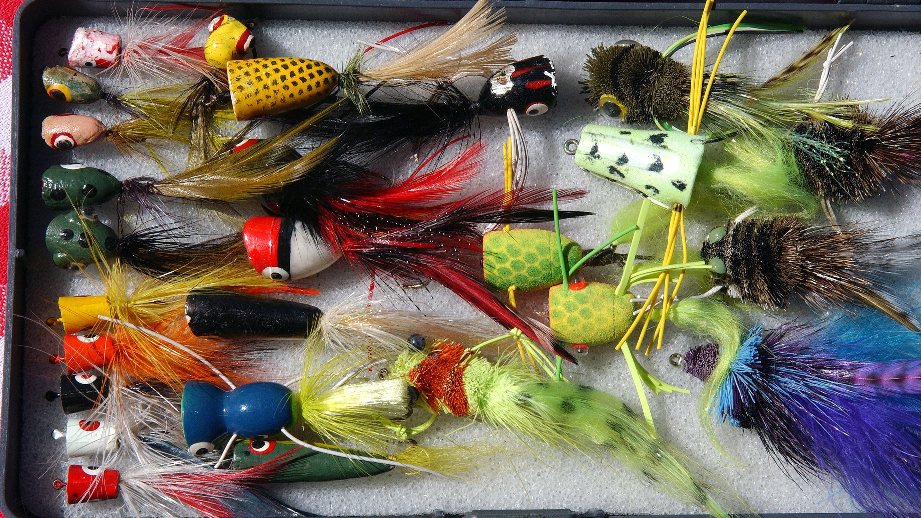 Wildlife experts urge anglers to 'get the lead out'