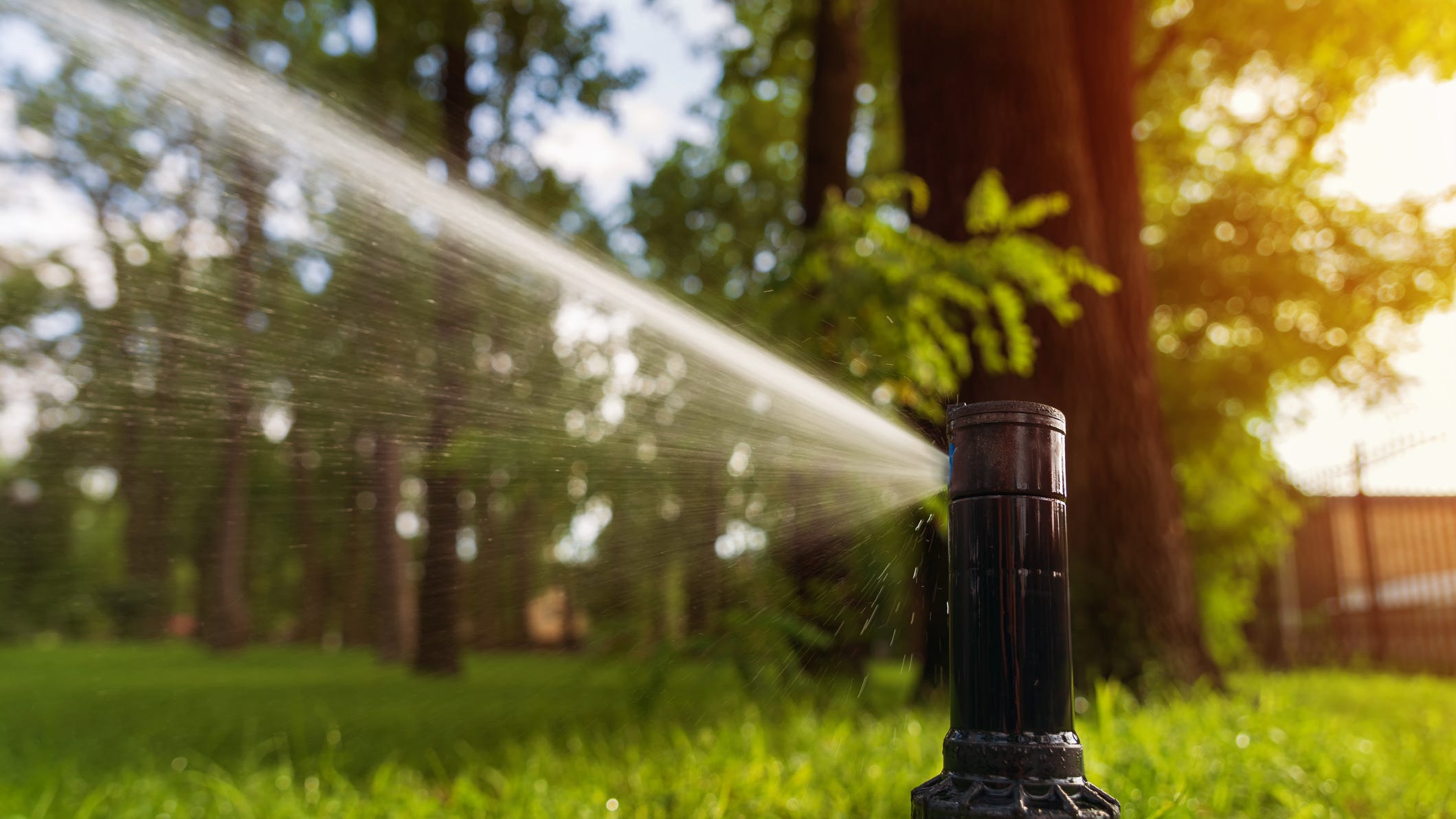 New Marin water restrictions come after heavy rainfall in the Bay Area