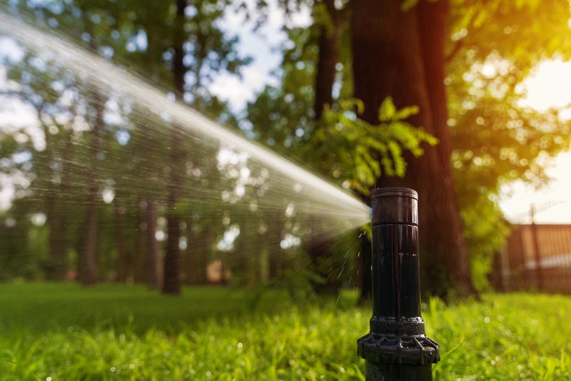 Marin residents are prohibited from doing any yard irrigation until May 2022.