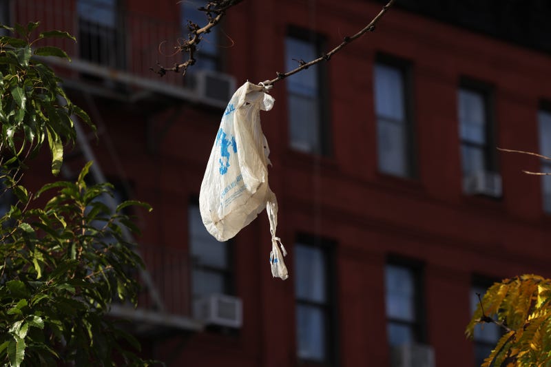 plastic bag ban