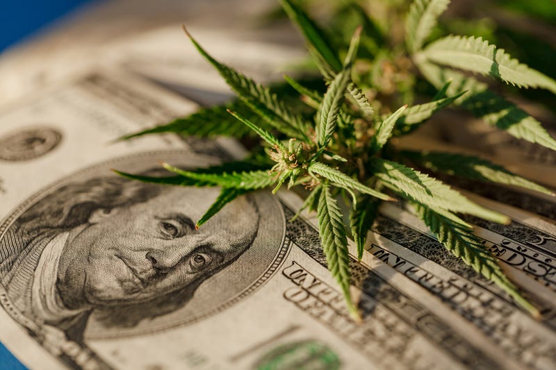 Metro Detroit voters came out in force one particular subject on Tuesday, rejecting proposals that would have allowed marijuana stores across four local cities.