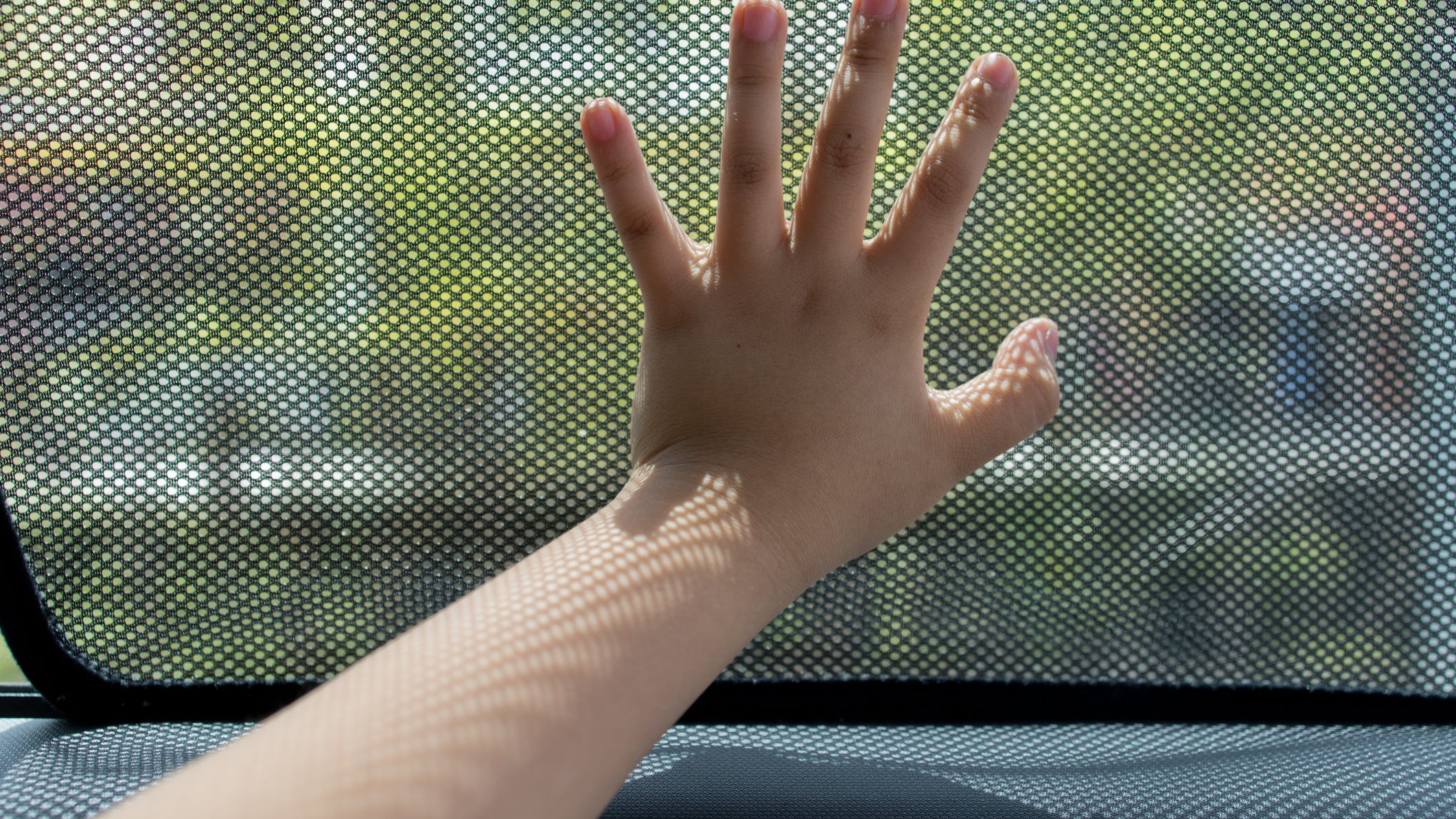 How to keep kids and pets safe as temperatures rise