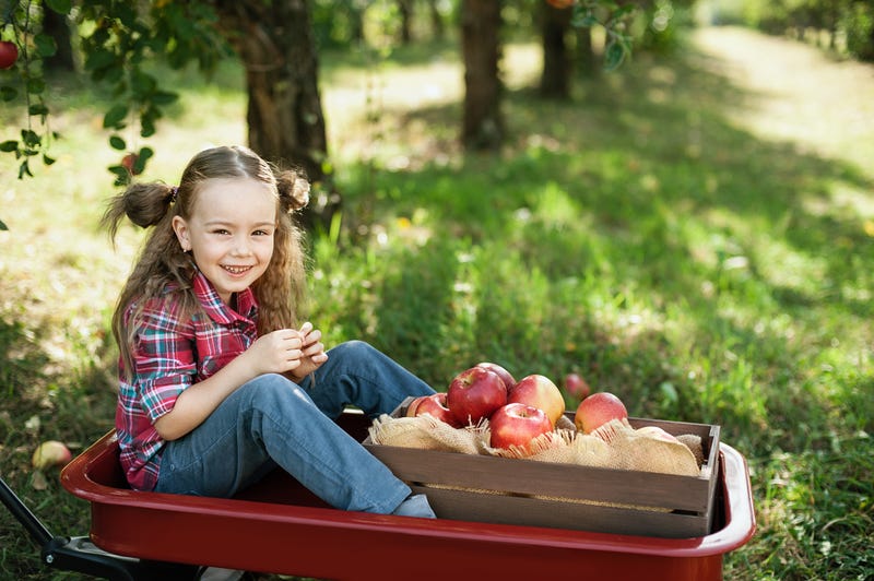 Apples