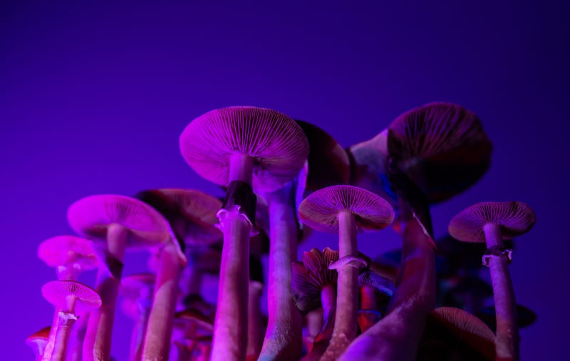 iStock/Getty Images