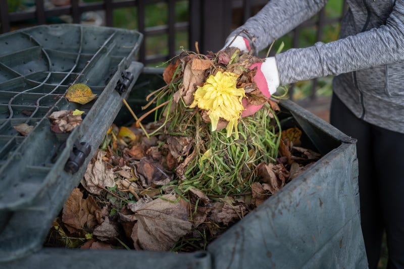 Compost 
